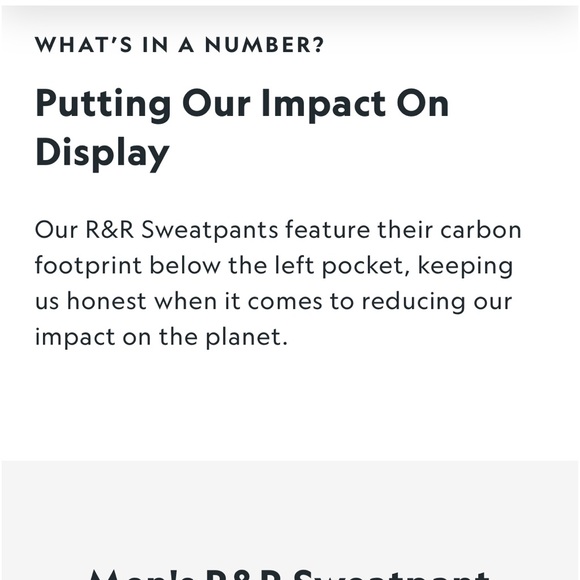 NWT allbirds Mens R&R SweatPants In Hazy Pine - Picture 11 of 16